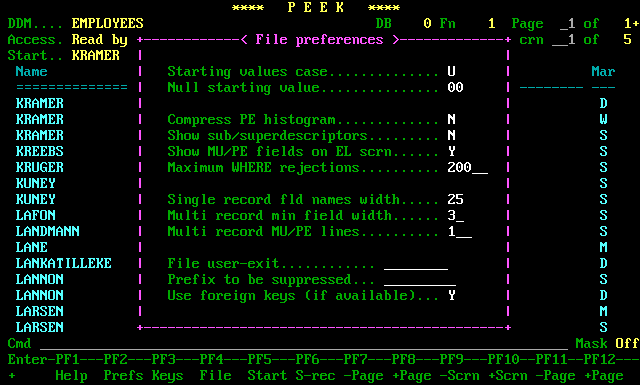 File preferences window